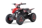 Preview: NITRO MOTORS 49cc mini Kinder Quad Replay Snowy-Profile L Sport 6"